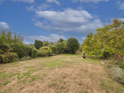 Picture 32